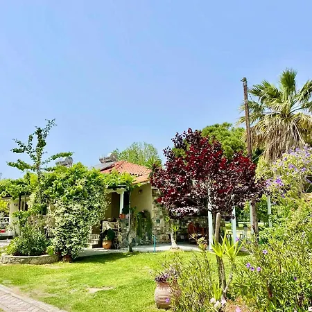 Nina Holidays Vakantiehuis Paralia Sikias