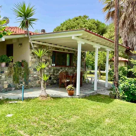 Nina Holidays * Paralia Sikias