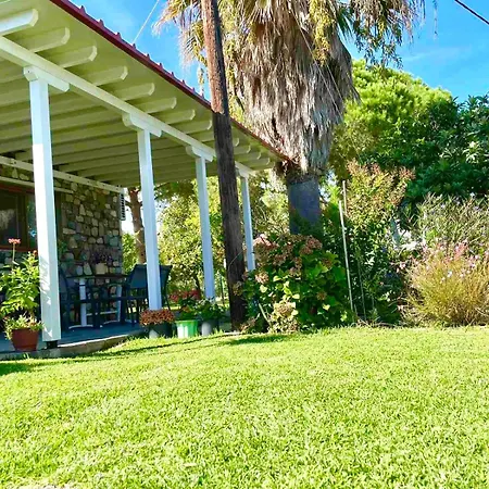 Nina Holidays Paralia Sikias